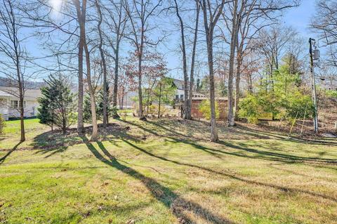 1103 Comanche Trl, Covington, VA 24426 photo 41