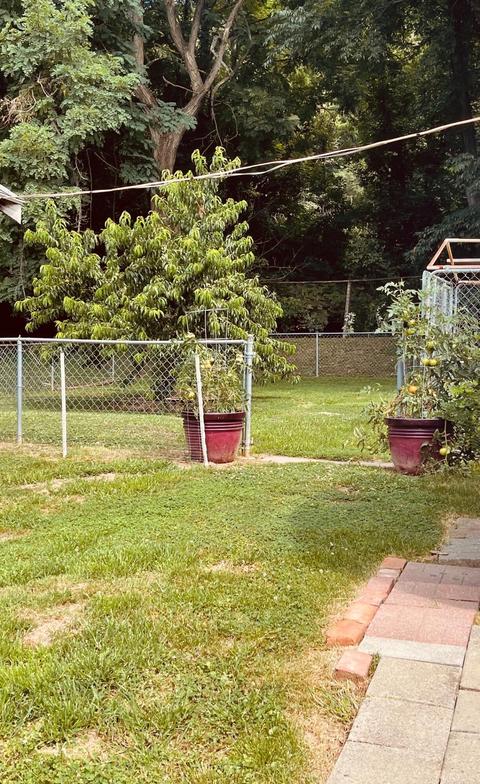 224 E Parrish St, Covington, VA 24426 photo 22