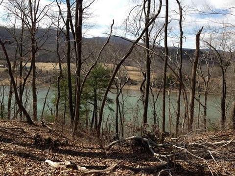 0 Old Station Loop, Hardy, VA 24101 photo 4
