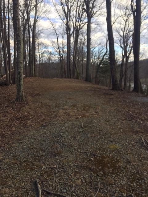0 Old Station Loop, Hardy, VA 24101 photo 10