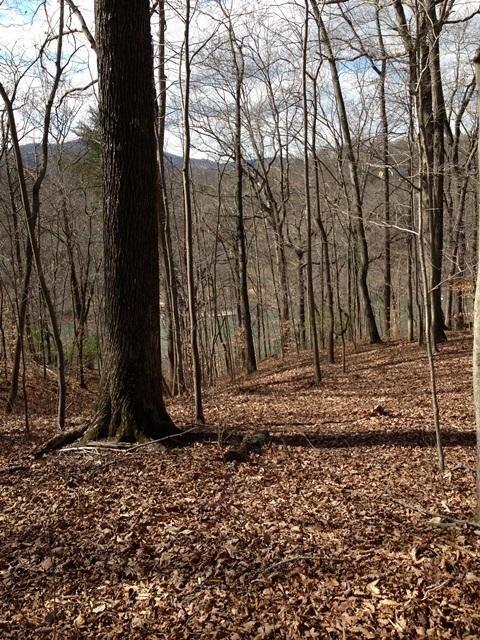 0 Old Station Loop, Hardy, VA 24101 photo 3