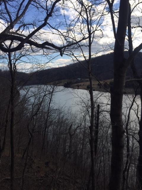 0 Old Station Loop, Hardy, VA 24101 photo 11