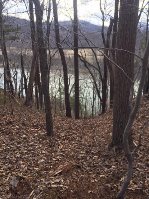 0 Old Station Loop, Hardy, VA 24101 photo 9