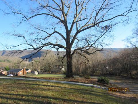 590 4th St, Buchanan, VA 24066 photo 22