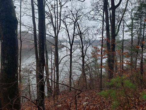 lot15 Longview Estates Dr, Goodview, VA 24095 photo 14