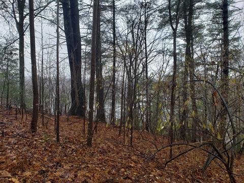 lot15 Longview Estates Dr, Goodview, VA 24095 photo 18