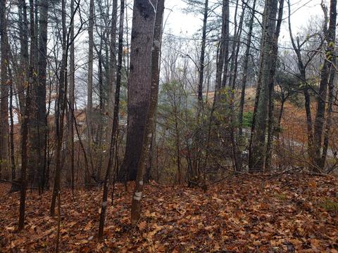 lot15 Longview Estates Dr, Goodview, VA 24095 photo 15