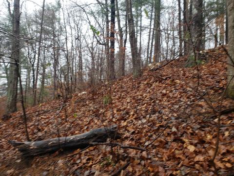 lot15 Longview Estates Dr, Goodview, VA 24095 photo 7