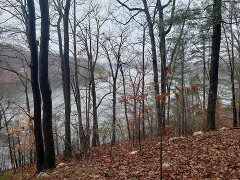 lot15 Longview Estates Dr, Goodview, VA 24095 photo 16