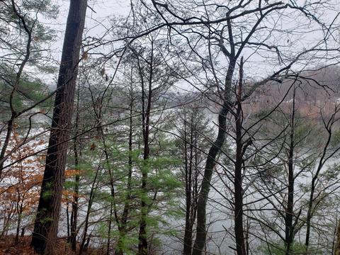 lot15 Longview Estates Dr, Goodview, VA 24095 photo 3