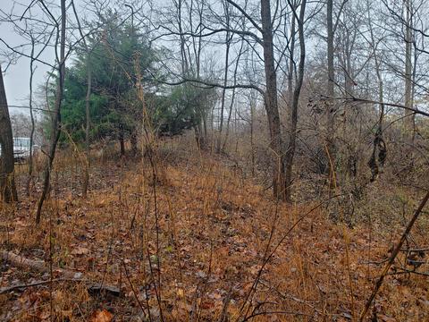 lot15 Longview Estates Dr, Goodview, VA 24095 photo 21