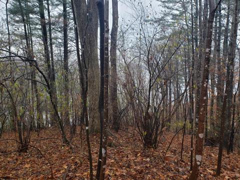 lot15 Longview Estates Dr, Goodview, VA 24095 photo 17