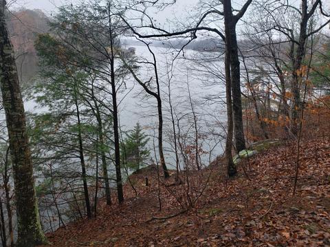 lot15 Longview Estates Dr, Goodview, VA 24095