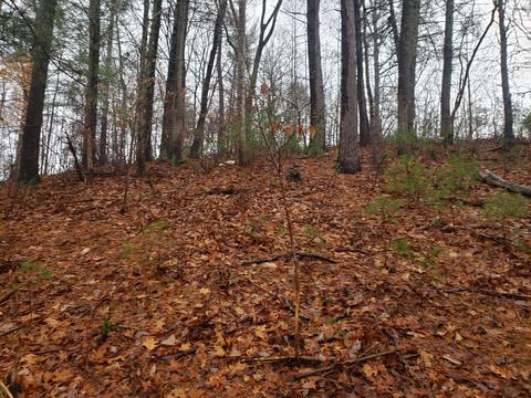 lot15 Longview Estates Dr, Goodview, VA 24095 photo 8