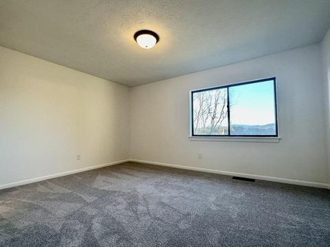 142 Sunset Ridge Rd, Forest, VA 24551 photo 12