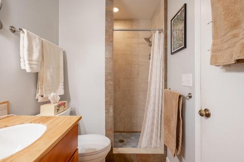 208 Pine St SE, Floyd, VA 24091 photo 59