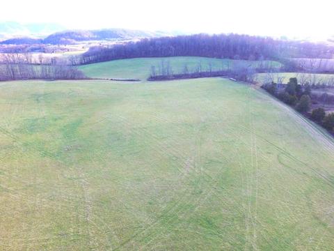 0 Prease Rd, Buchanan, VA 24066
