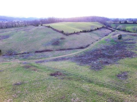 0 Prease Rd, Buchanan, VA 24066 photo 9