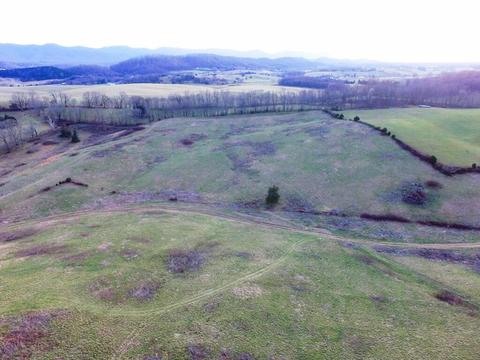 0 Prease Rd, Buchanan, VA 24066 photo 6