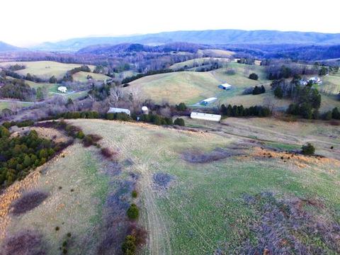 0 Prease Rd, Buchanan, VA 24066 photo 3