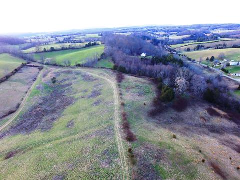 0 Prease Rd, Buchanan, VA 24066 photo 17