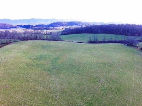 0 Prease Rd, Buchanan, VA 24066 photo 15