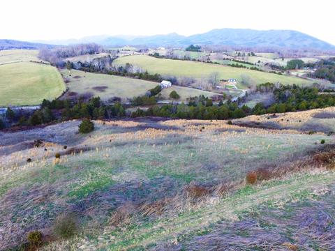 0 Prease Rd, Buchanan, VA 24066 photo 18