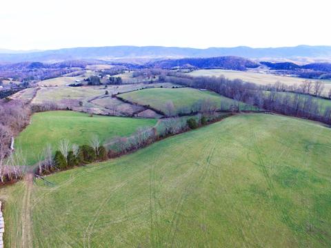 0 Prease Rd, Buchanan, VA 24066 photo 20