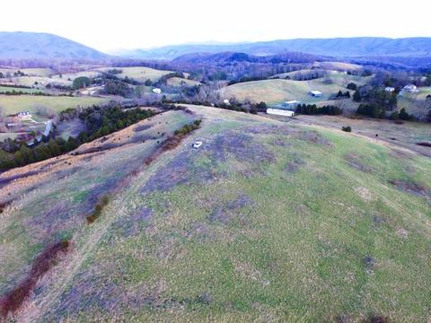 0 Prease Rd, Buchanan, VA 24066 photo 12