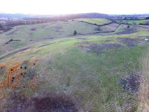 0 Prease Rd, Buchanan, VA 24066 photo 13