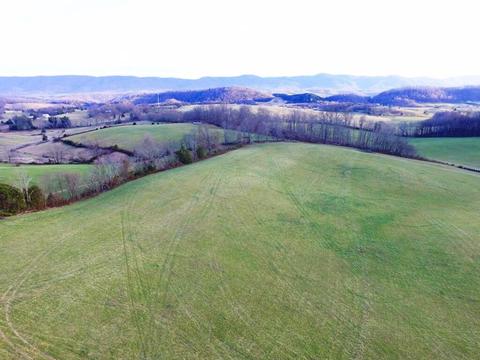 0 Prease Rd, Buchanan, VA 24066 photo 2
