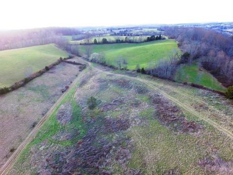 0 Prease Rd, Buchanan, VA 24066 photo 19