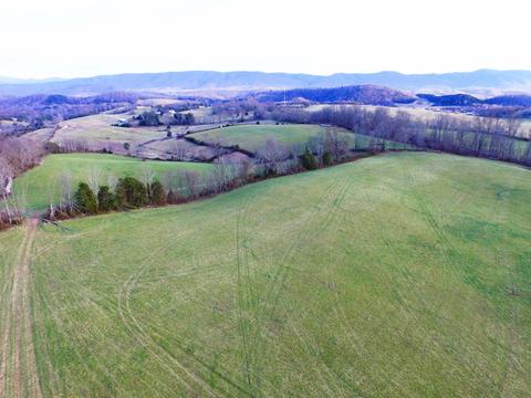 0 Prease Rd, Buchanan, VA 24066 photo 16