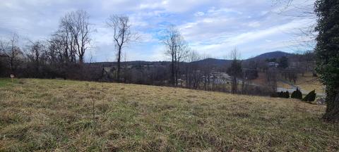 162 Fieldcrest Rd, Ferrum, VA 24088 photo 6