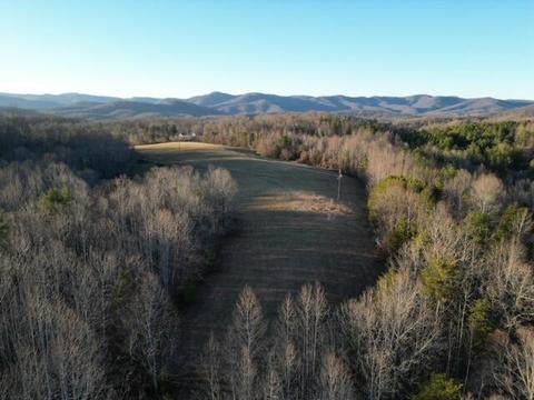 2100 Thompson Ridge Rd, Ferrum, VA 24088 photo 3
