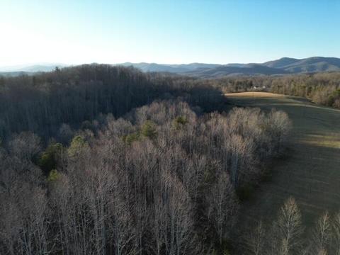 2100 Thompson Ridge Rd, Ferrum, VA 24088 photo 9