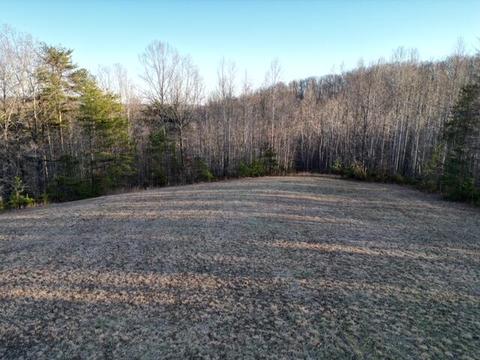 2100 Thompson Ridge Rd, Ferrum, VA 24088 photo 7