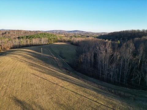 2100 Thompson Ridge Rd, Ferrum, VA 24088 photo 4