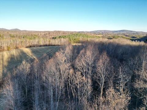 2100 Thompson Ridge Rd, Ferrum, VA 24088 photo 2