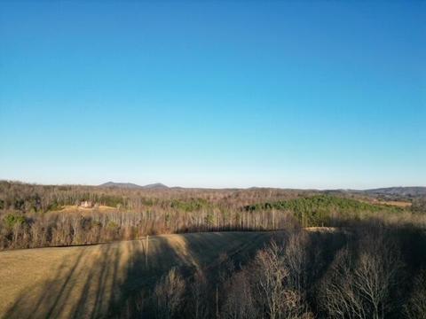 2100 Thompson Ridge Rd, Ferrum, VA 24088 photo 8