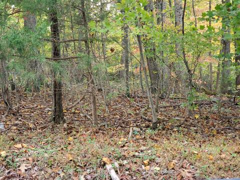 Tract 1-a Farm View Rd, Glade Hill, VA 24092