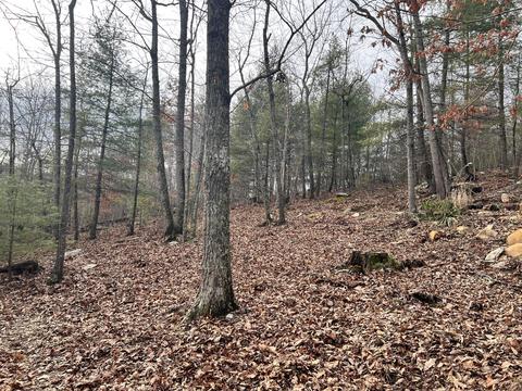 3712 Sunflower Rd, Pilot, VA 24138 photo 10