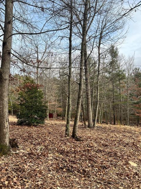 3712 Sunflower Rd, Pilot, VA 24138 photo 8