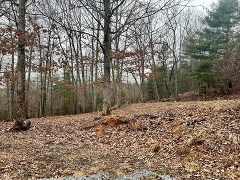3712 Sunflower Rd, Pilot, VA 24138 photo 7