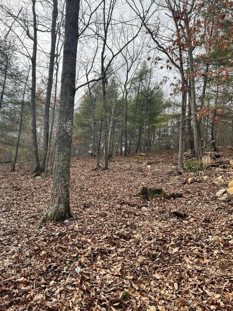3712 Sunflower Rd, Pilot, VA 24138 photo 9