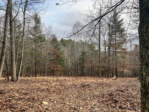 3712 Sunflower Rd, Pilot, VA 24138 photo 11