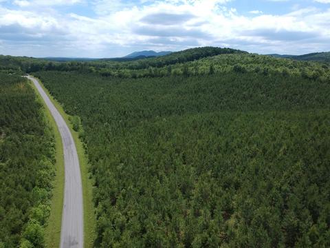 Southtract Chellis Ford Rd, Lynch Station, VA 24571