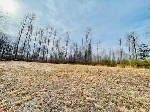 lot10 A2 Periwinkle Rd, Moneta, VA 24121