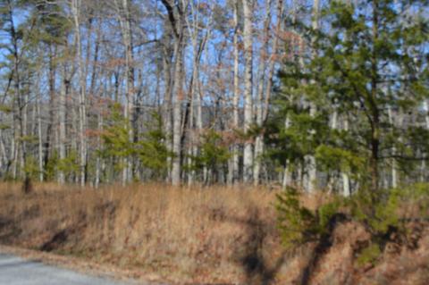 Lot 53 Black Diamond Dr, New Castle, VA 24127