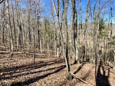 979 Roberson Mill Rd SE, Floyd, VA 24091 photo 16